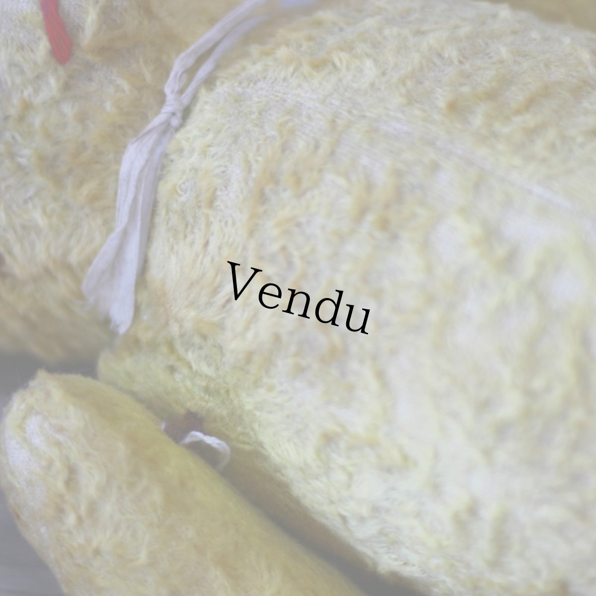 画像9: French SOOTY Bear (9)