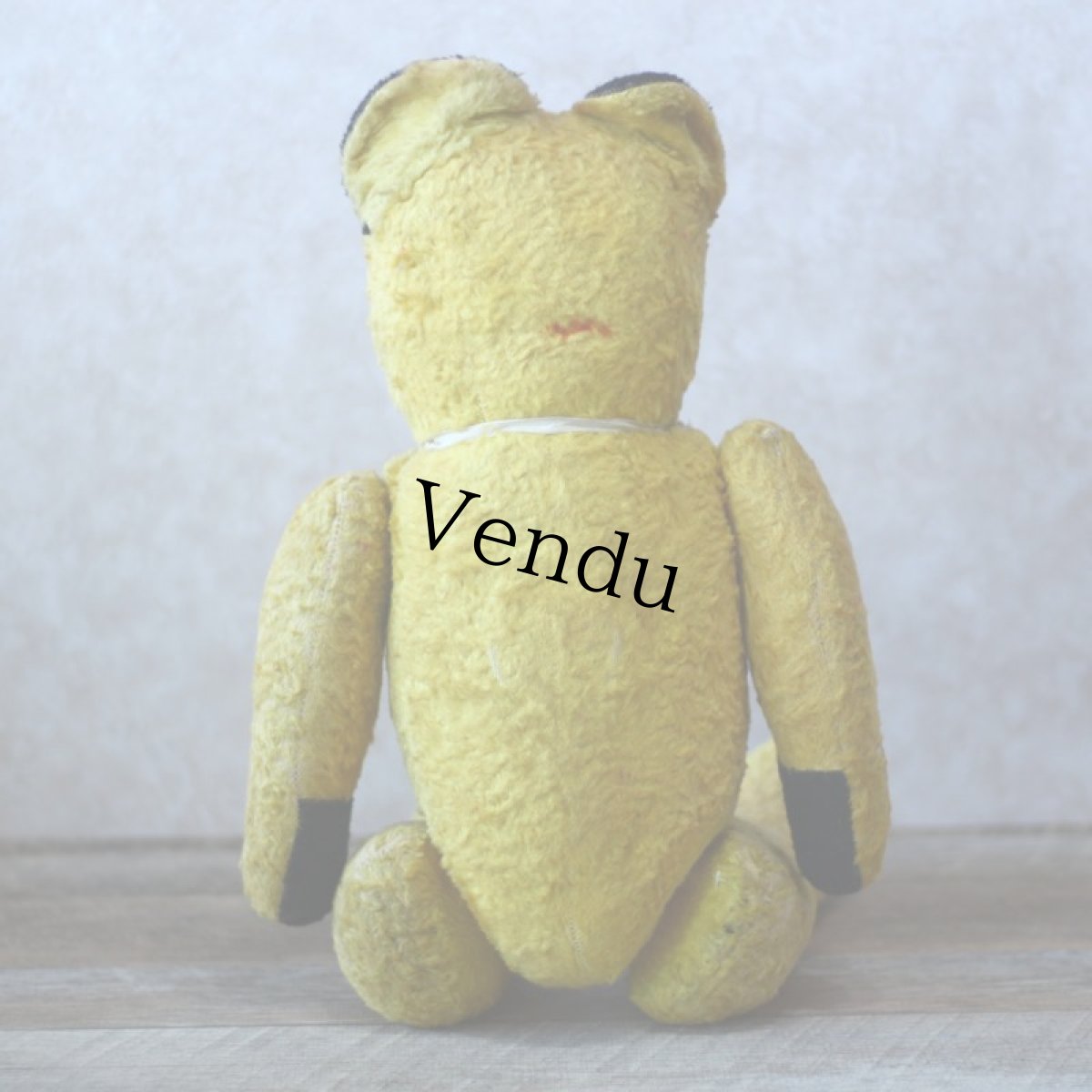 画像7: French SOOTY Bear (7)