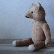 画像8: イギリス　アンティークベア (8)