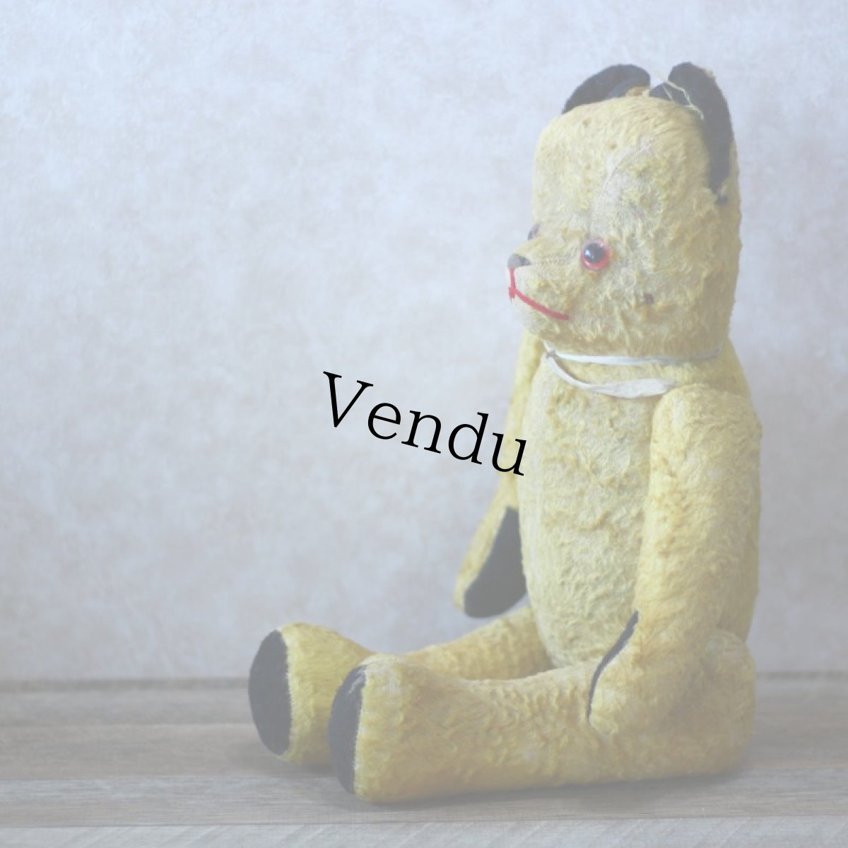 画像6: French SOOTY Bear (6)