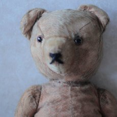 画像5: イギリス　アンティークベア (5)