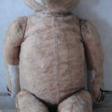 画像6: イギリス　アンティークベア (6)