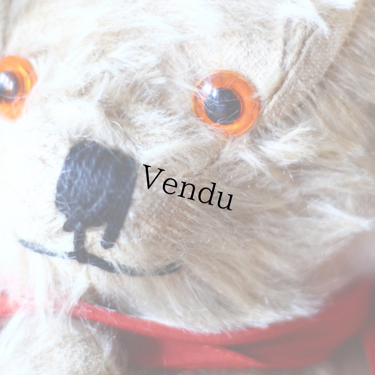 画像7: England Antique Bear＊ (7)