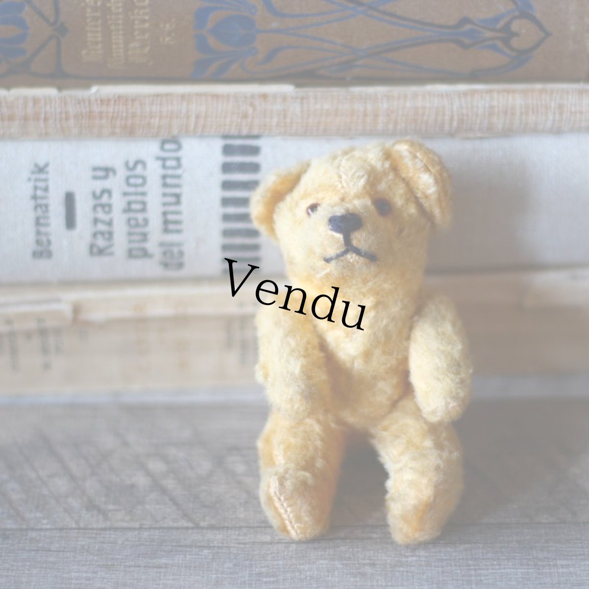 画像3: England Antique Yellow Bear (3)