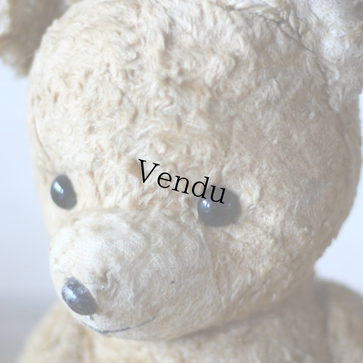 画像6: French Antique Bear＊ (6)