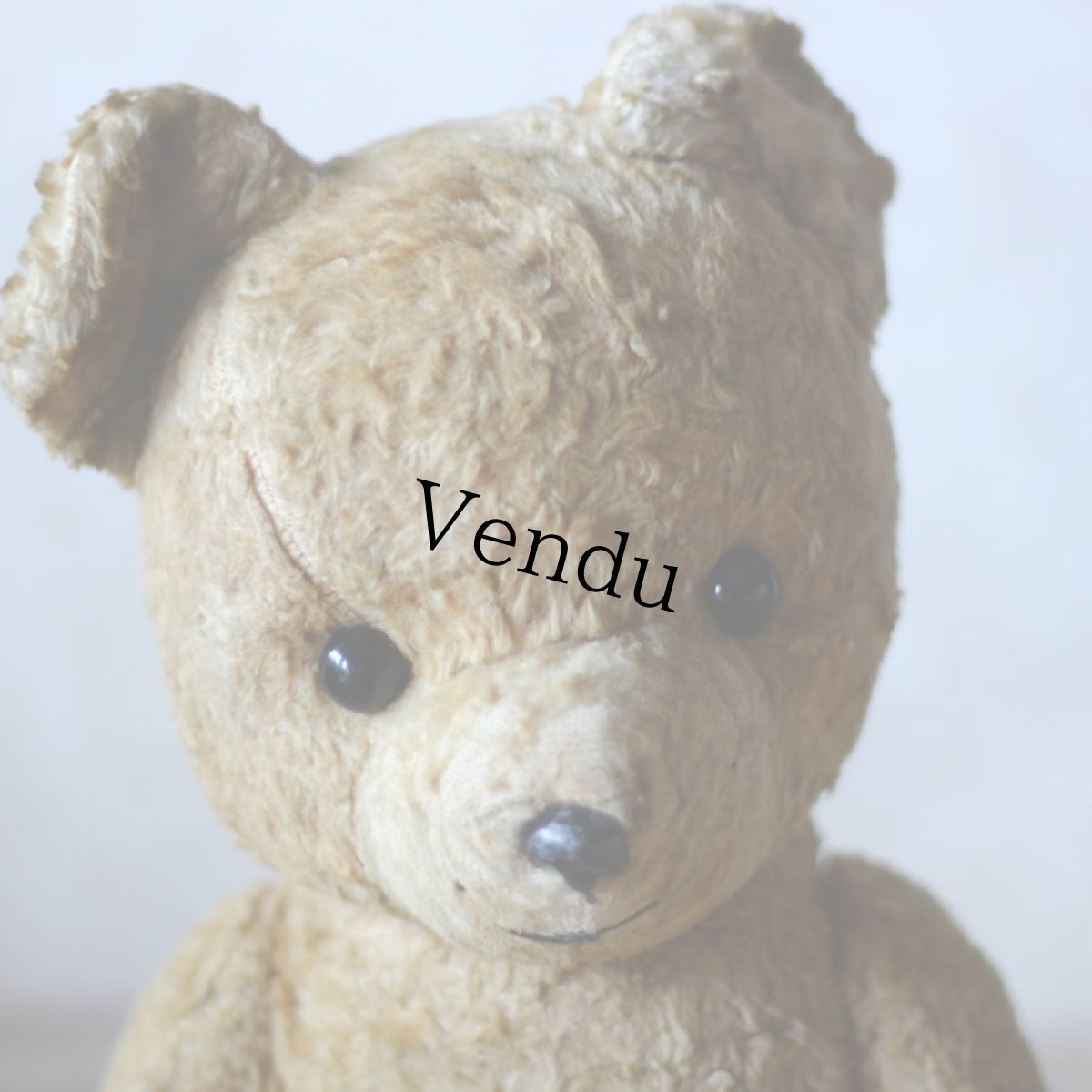 画像5: French Antique Bear＊ (5)