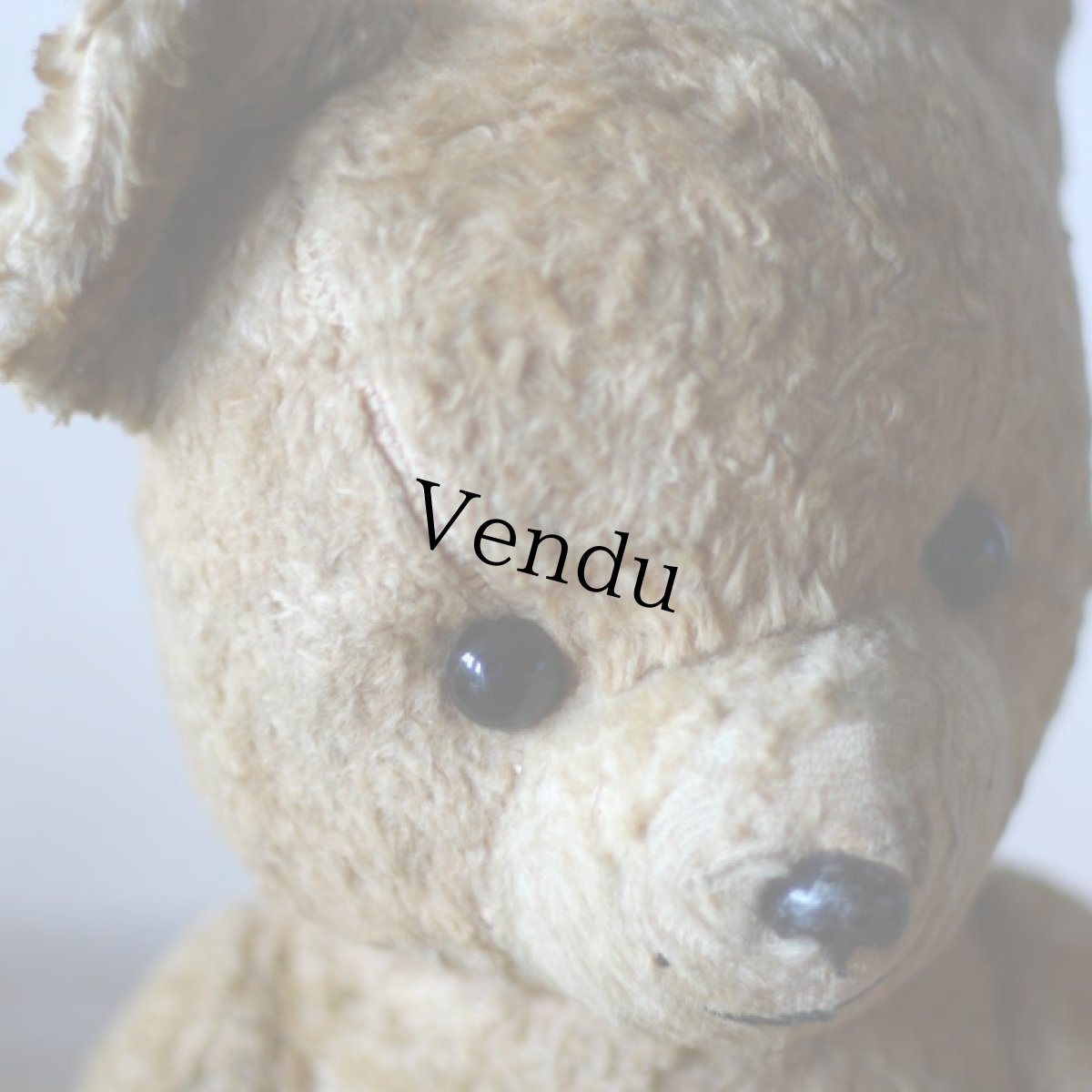 画像7: French Antique Bear＊ (7)