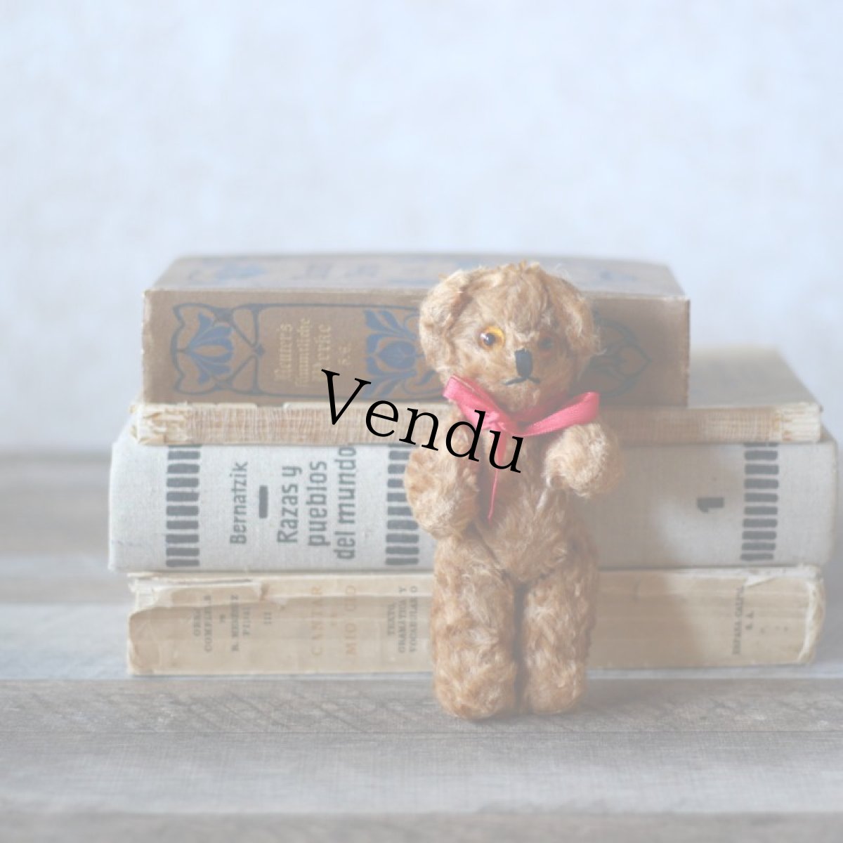 画像2: England Antique Brown Bear (2)