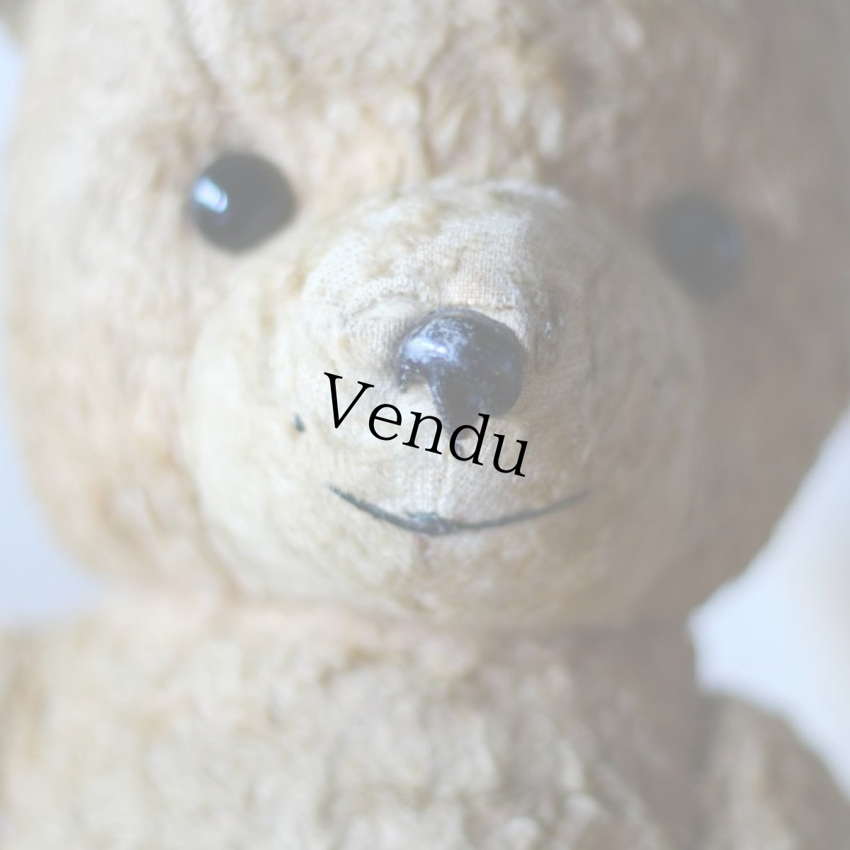 画像9: French Antique Bear＊ (9)
