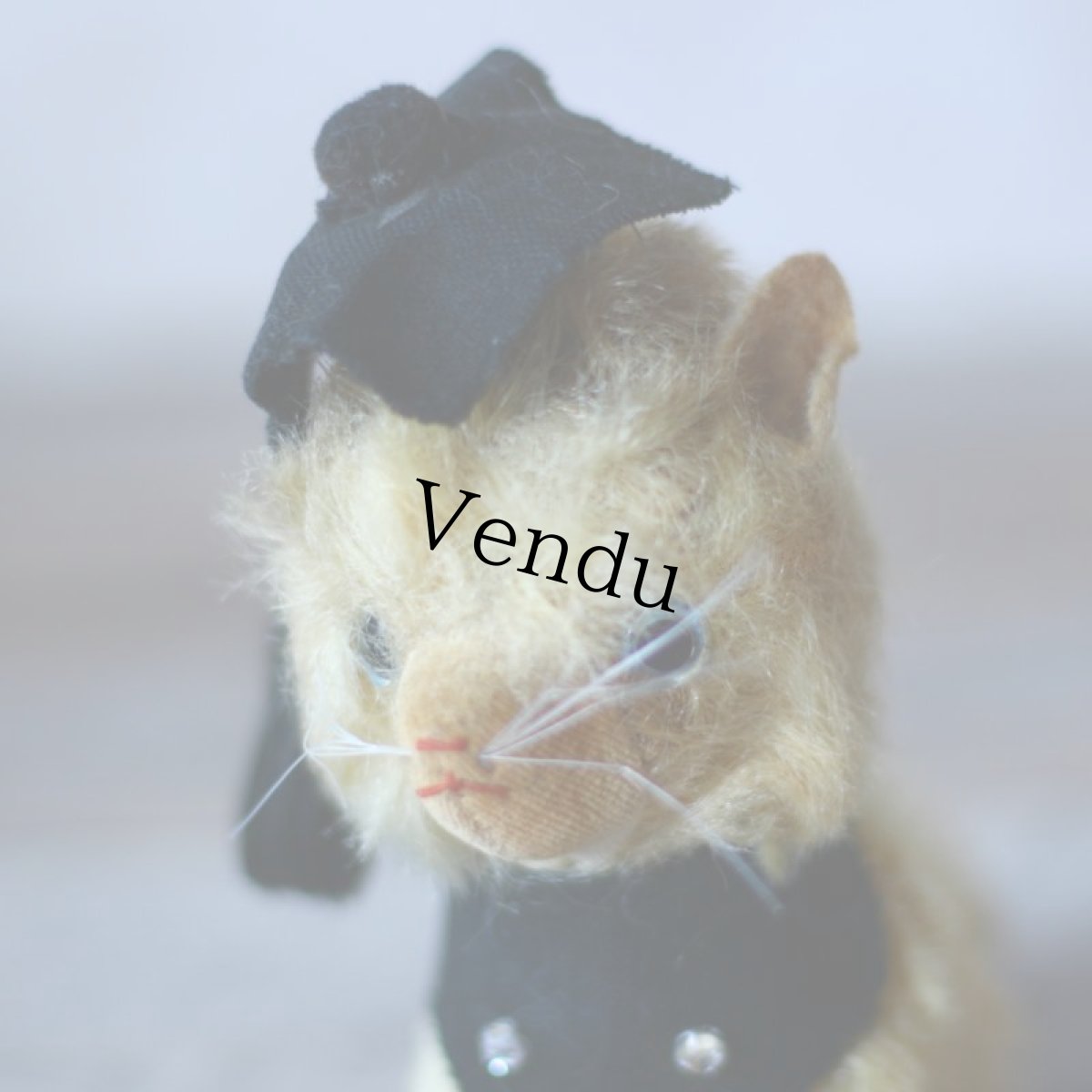 画像5: Graduate Cat (5)