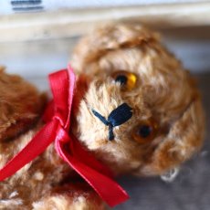 画像6: England Antique Brown Bear (6)