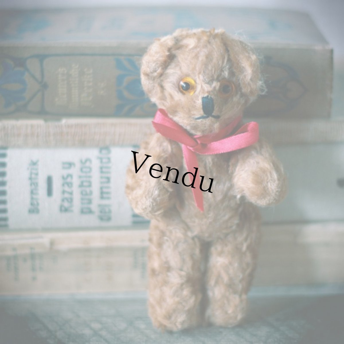 画像7: England Antique Brown Bear (7)