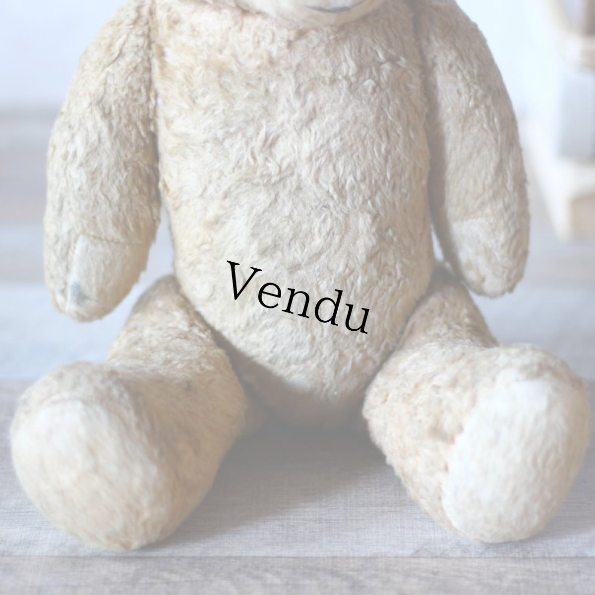 画像8: French Antique Bear＊ (8)