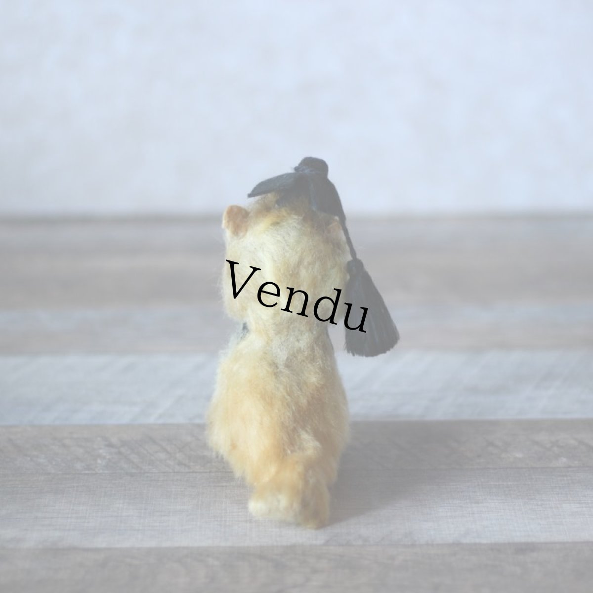 画像4: Graduate Cat (4)