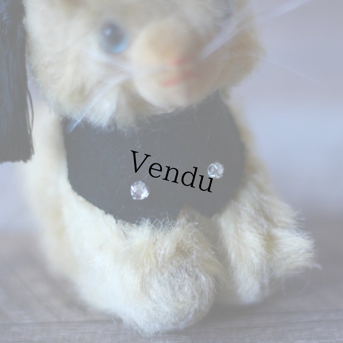 画像7: Graduate Cat (7)