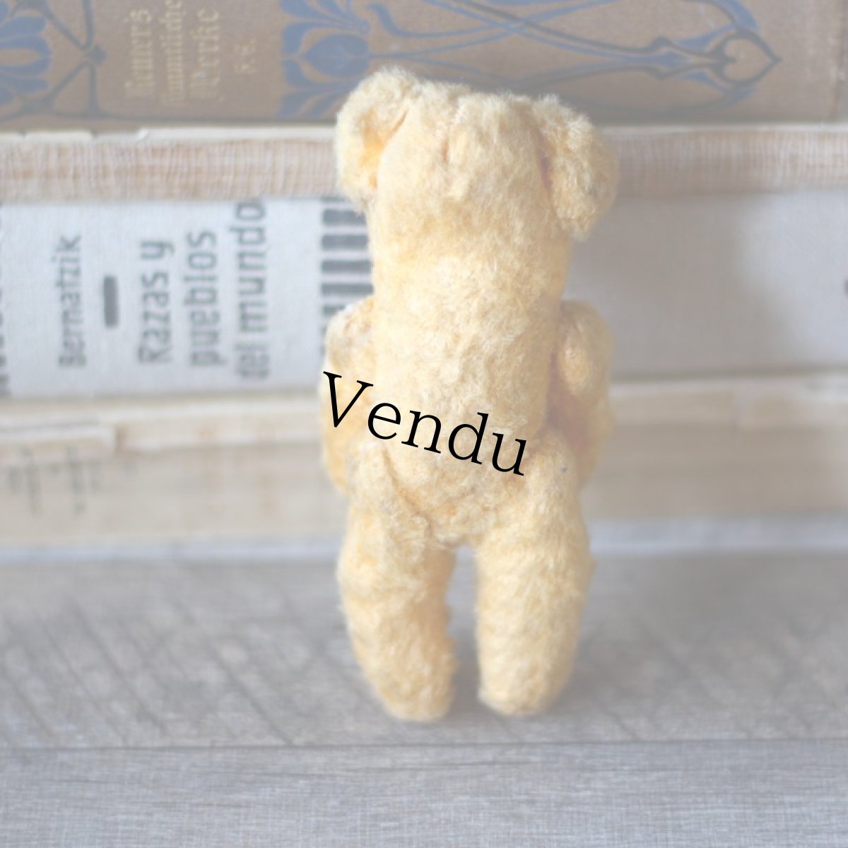 画像2: England Antique Yellow Bear (2)