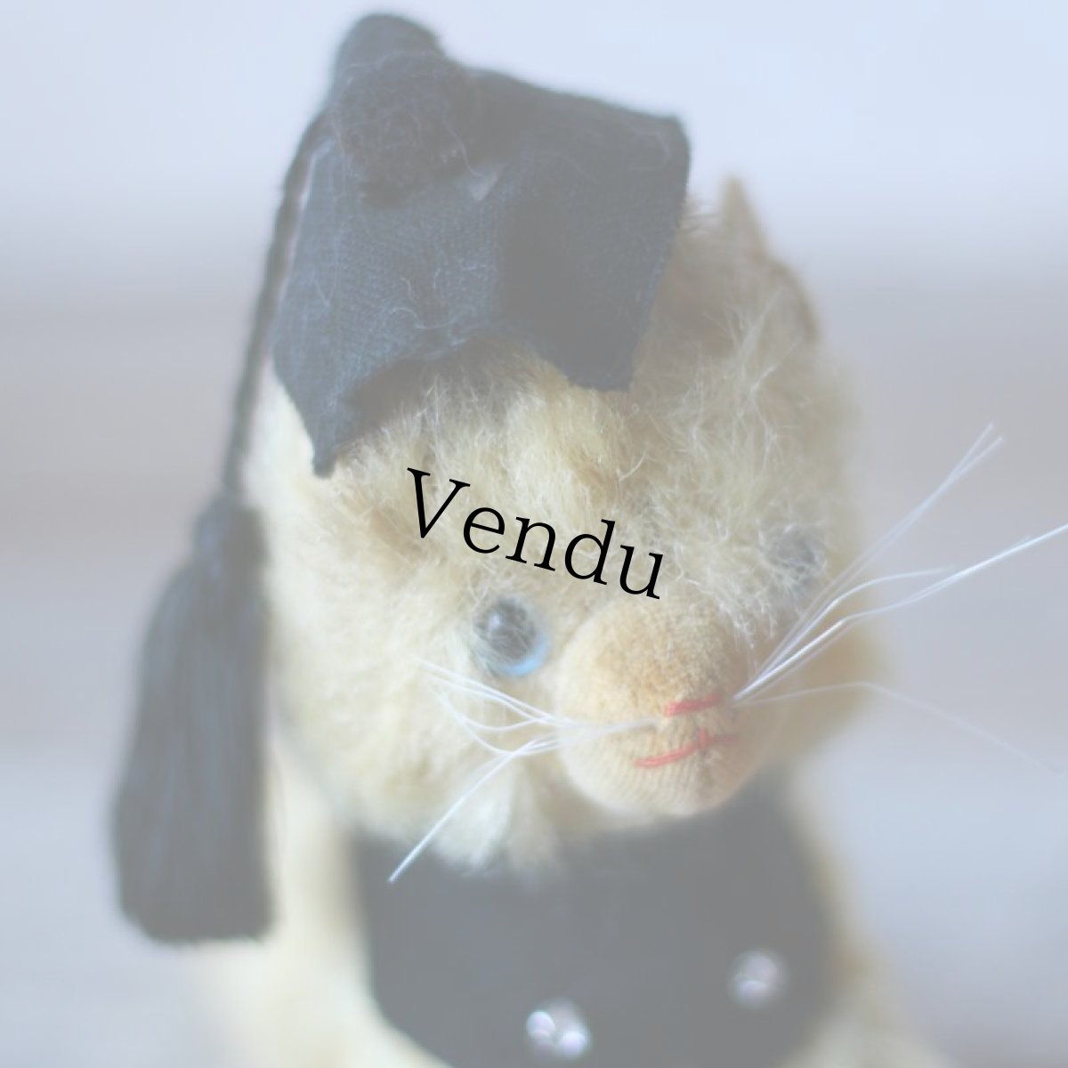 画像6: Graduate Cat (6)