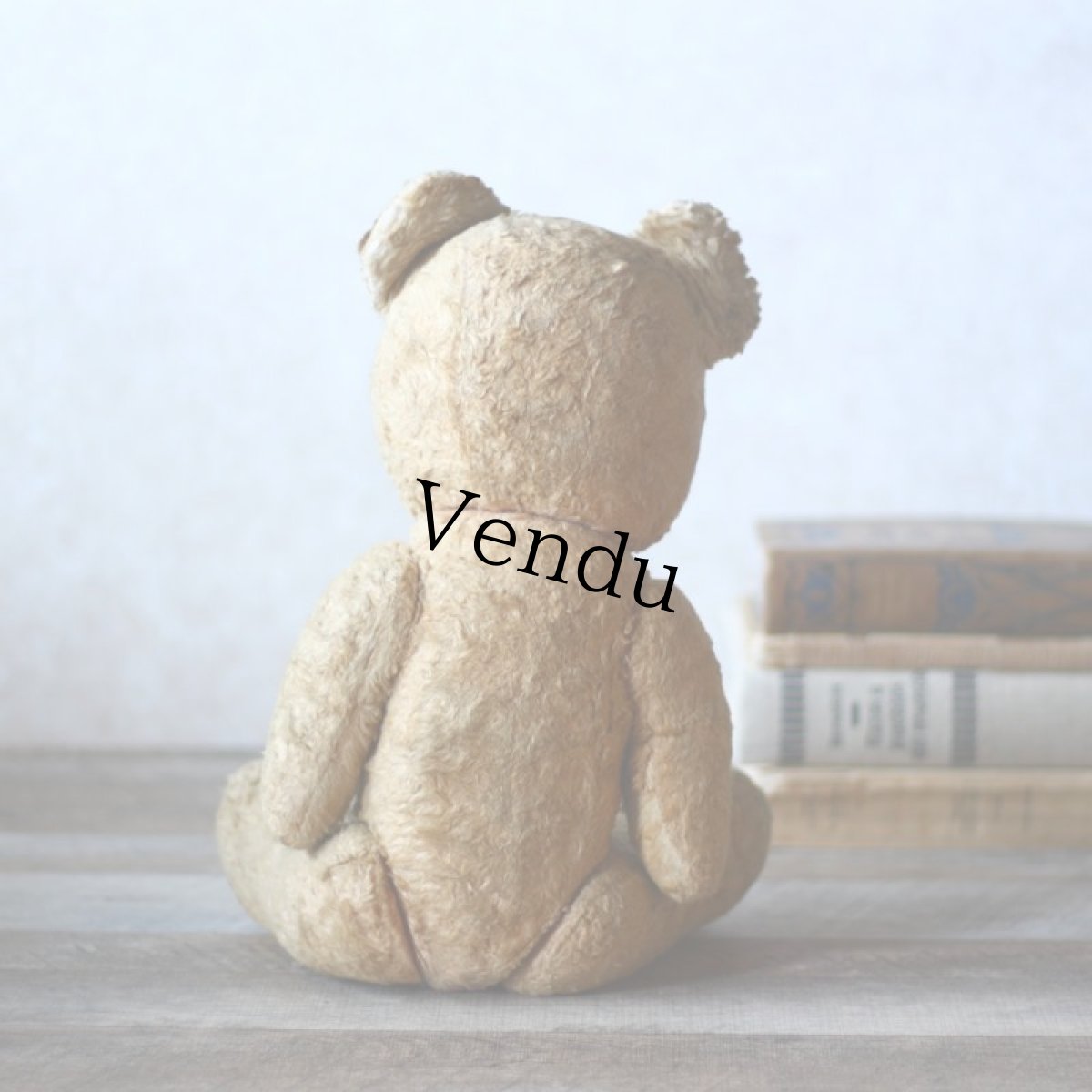 画像4: French Antique Bear＊ (4)