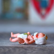 画像7: Hertwig おしゃぶりベビー* (7)