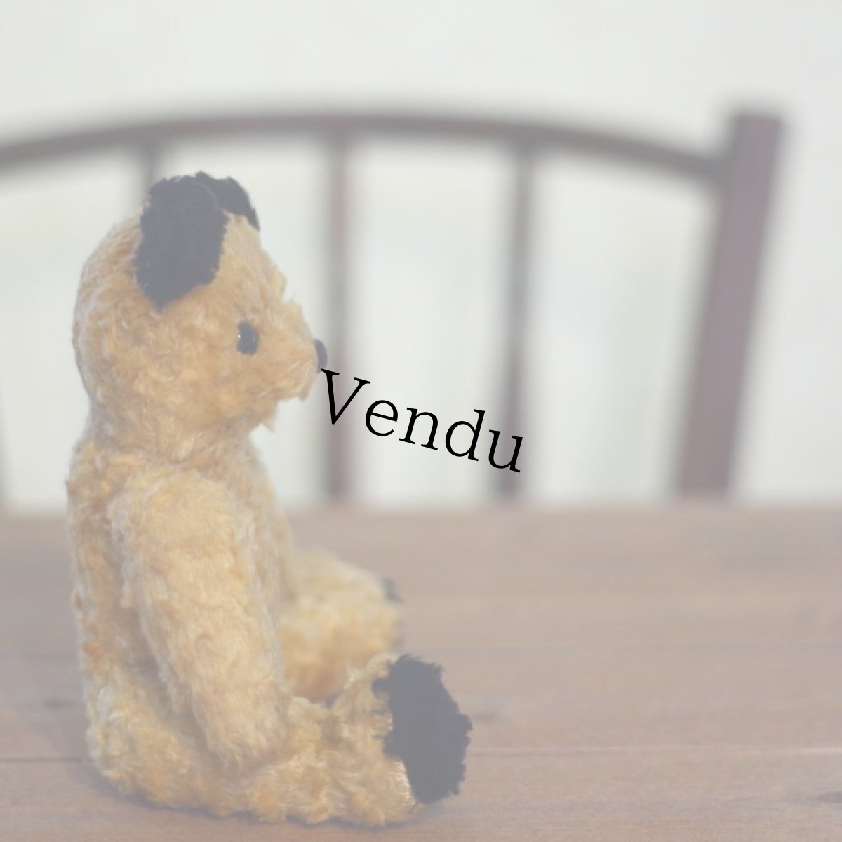 画像3: Sooty Bear (3)