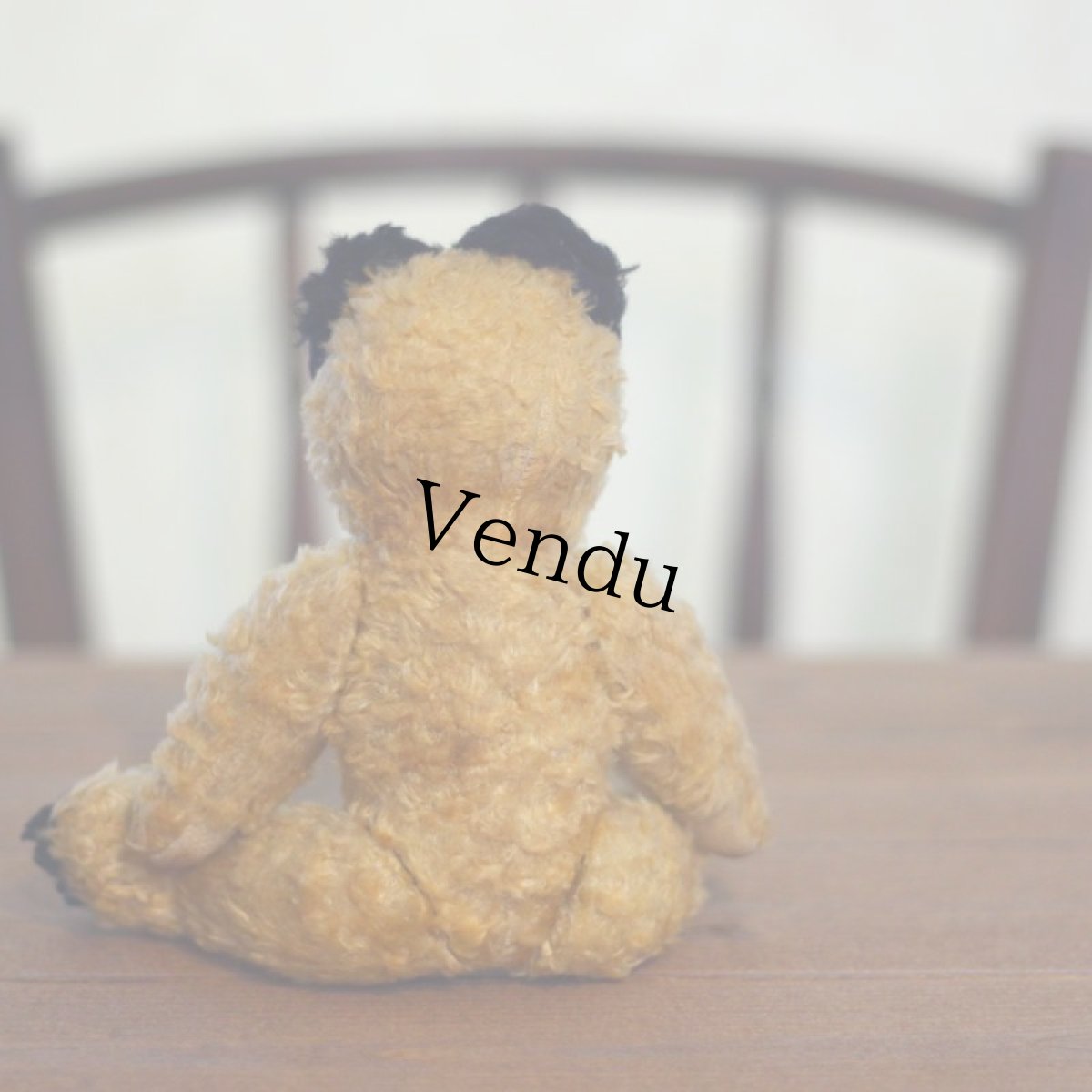 画像4: Sooty Bear (4)