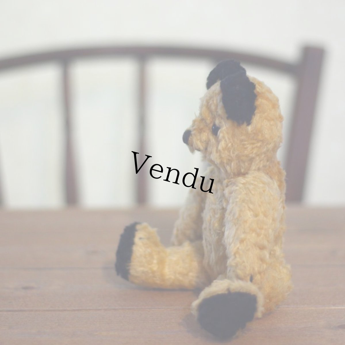 画像2: Sooty Bear (2)