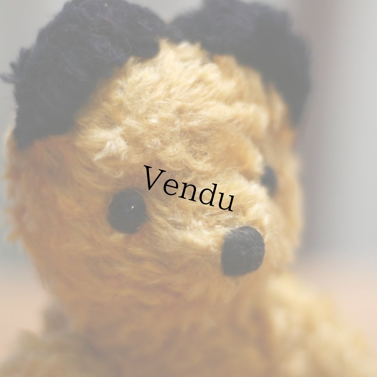 画像6: Sooty Bear (6)