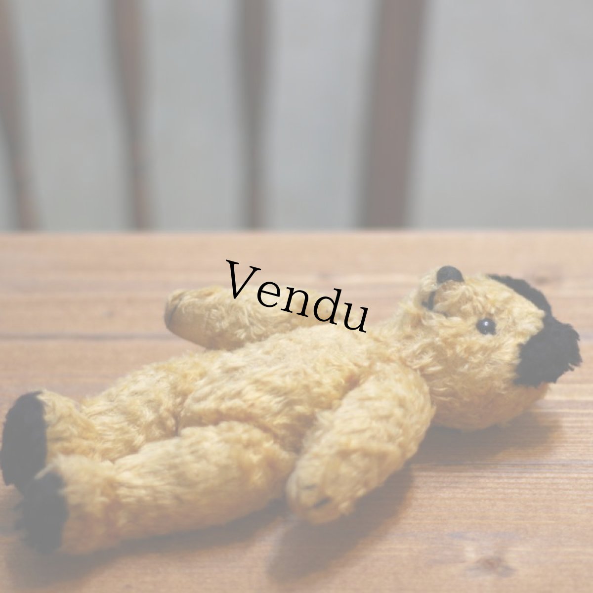 画像7: Sooty Bear (7)