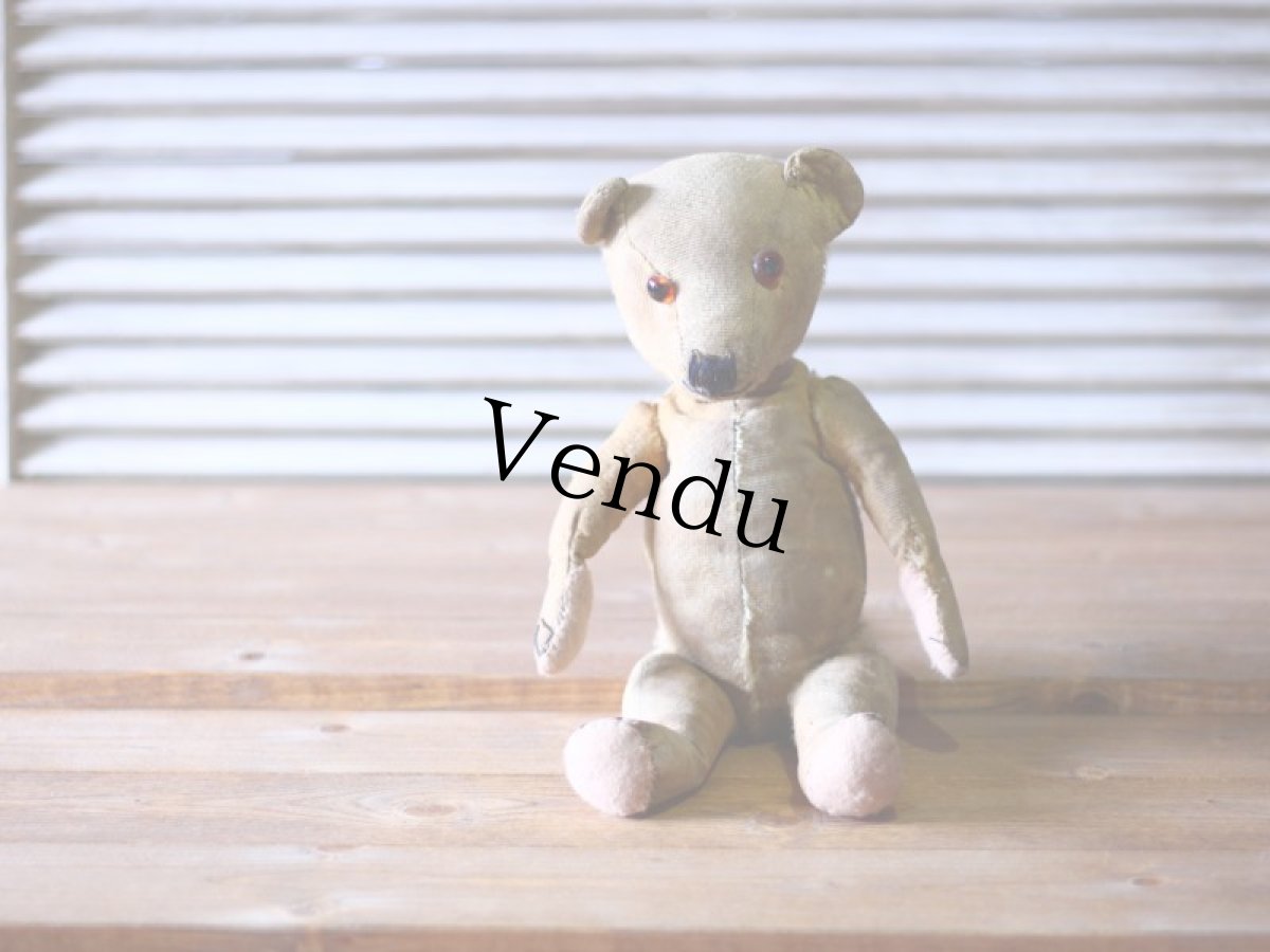 画像4: イギリス アンティークベア モヘアレス 1920s (4)