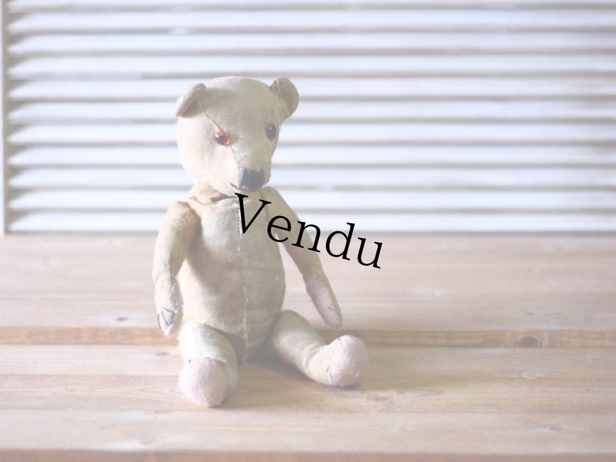 画像3: イギリス アンティークベア モヘアレス 1920s (3)