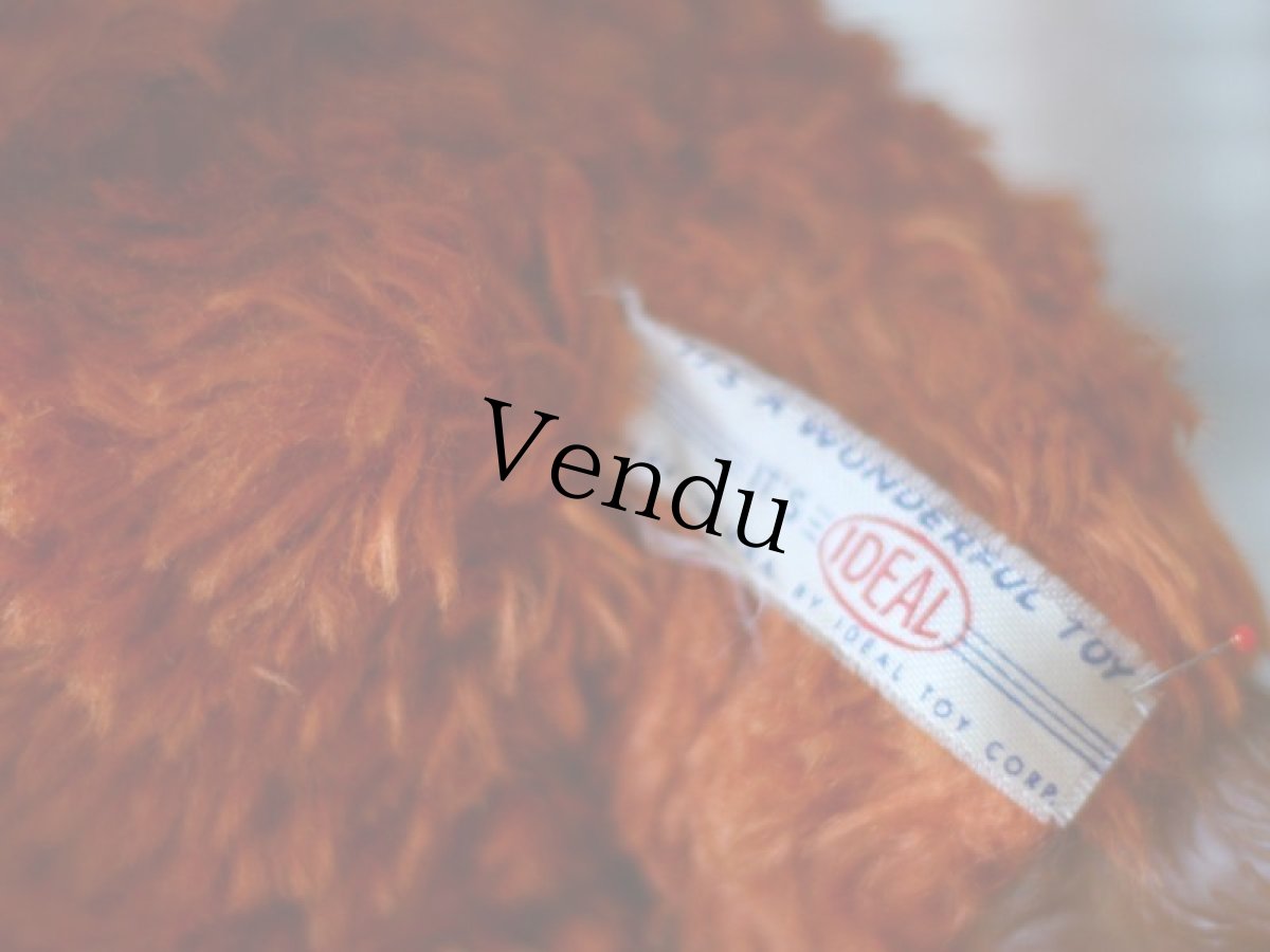 画像5: IDEAL ラバーフェイステディベア＊ (5)