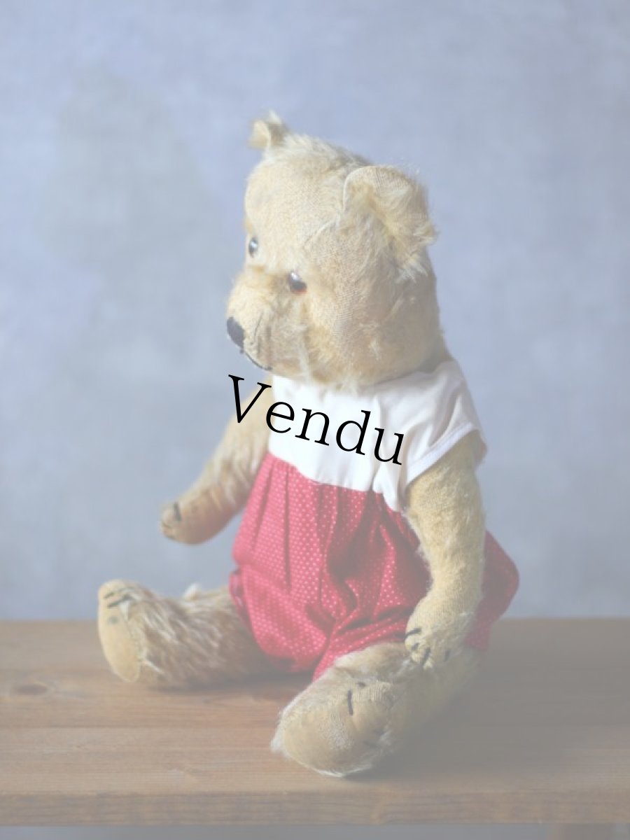 画像6: セーラーカラーのアンティークベア (6)