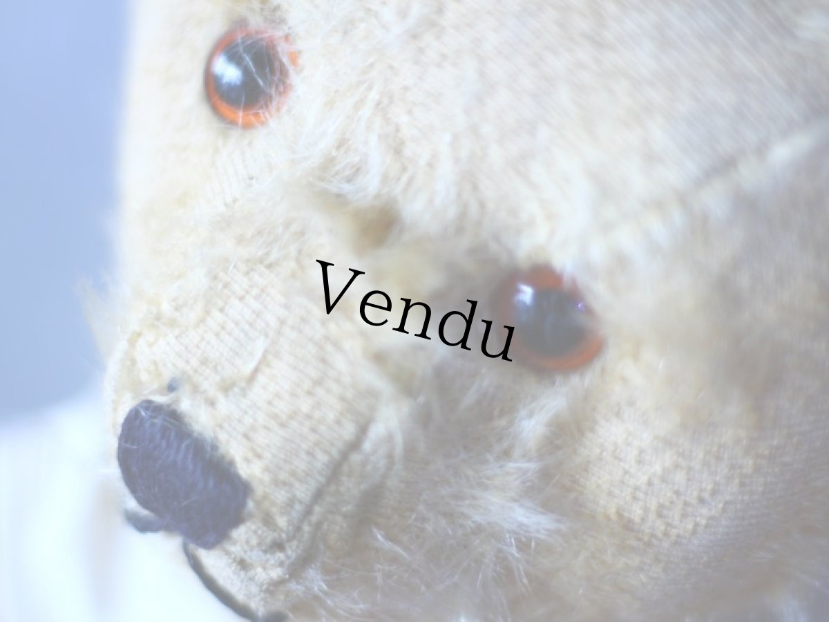 画像8: セーラーカラーのアンティークベア (8)