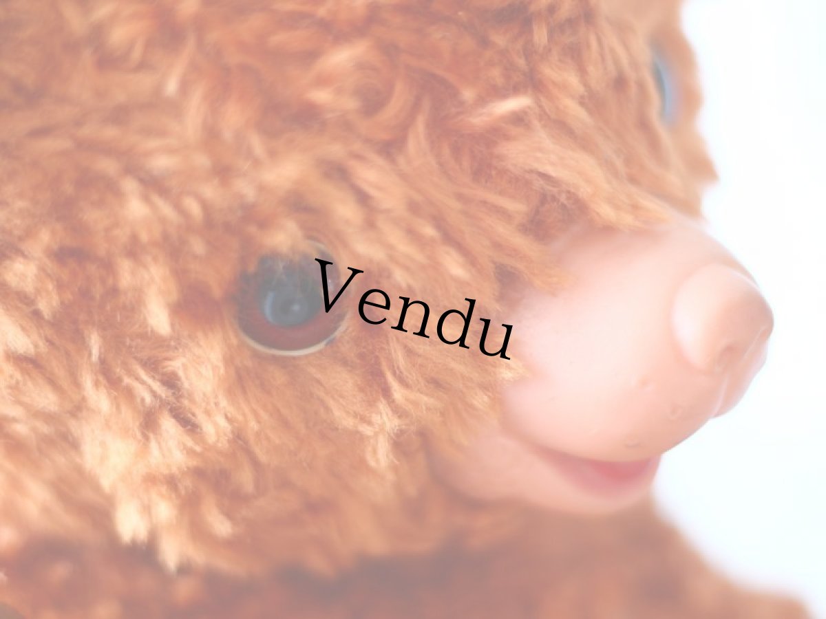 画像10: IDEAL ラバーフェイステディベア＊ (10)