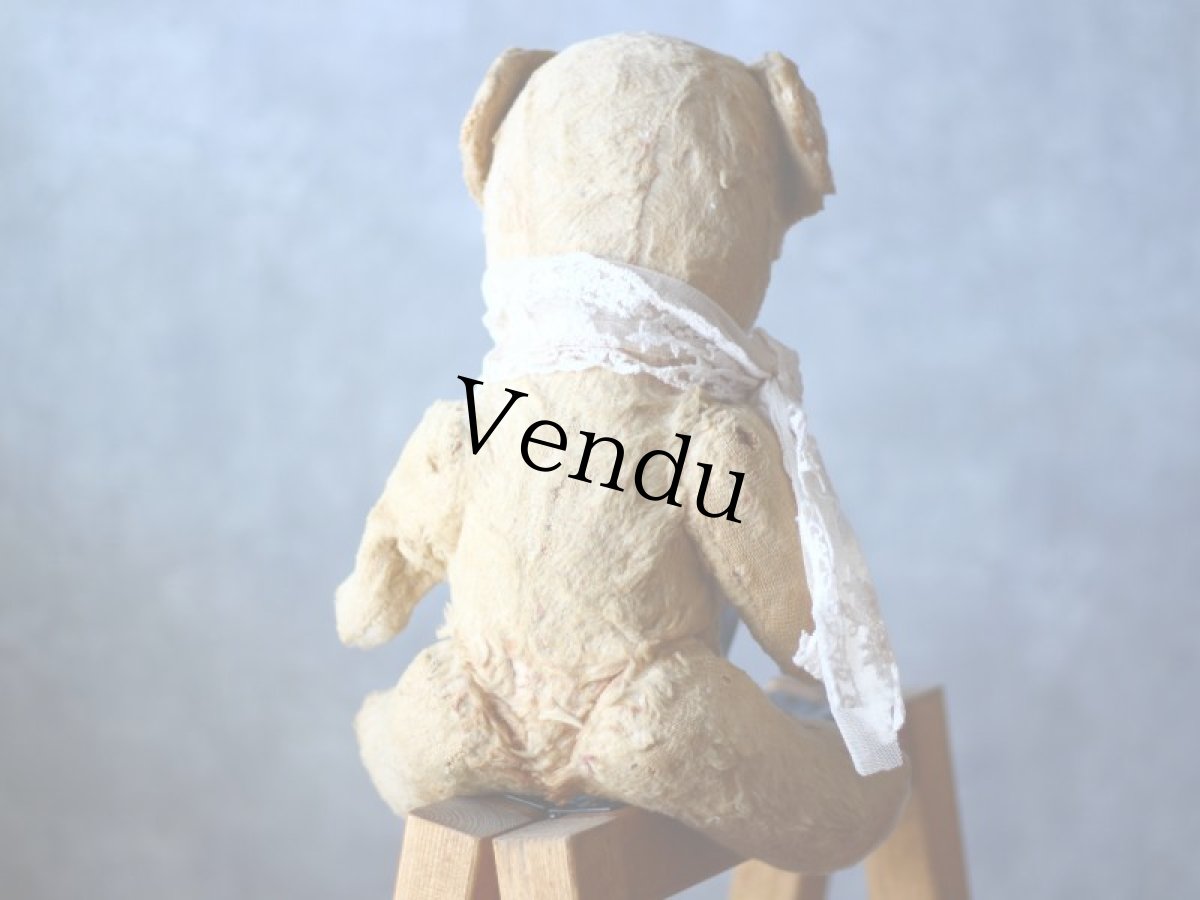 画像7: フレンチアンティークベア (7)