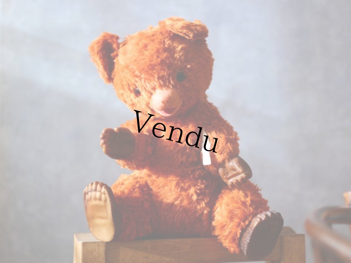 画像11: IDEAL ラバーフェイステディベア＊ (11)