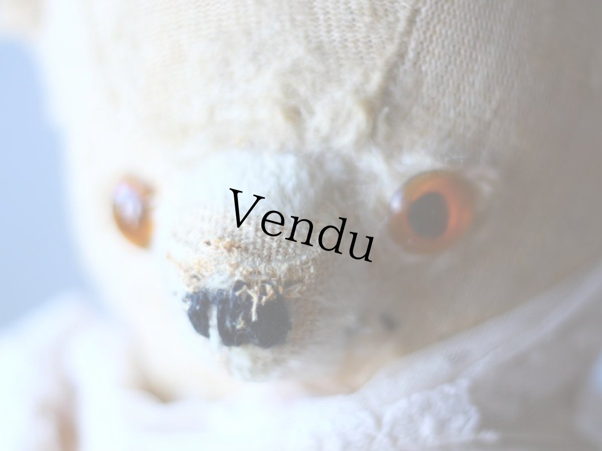 画像11: フレンチアンティークベア (11)