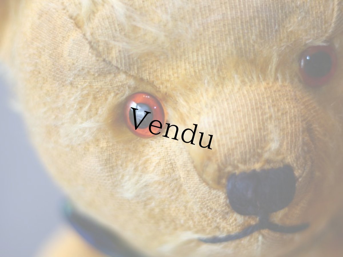 画像5: アンティークテディベア＊ (5)