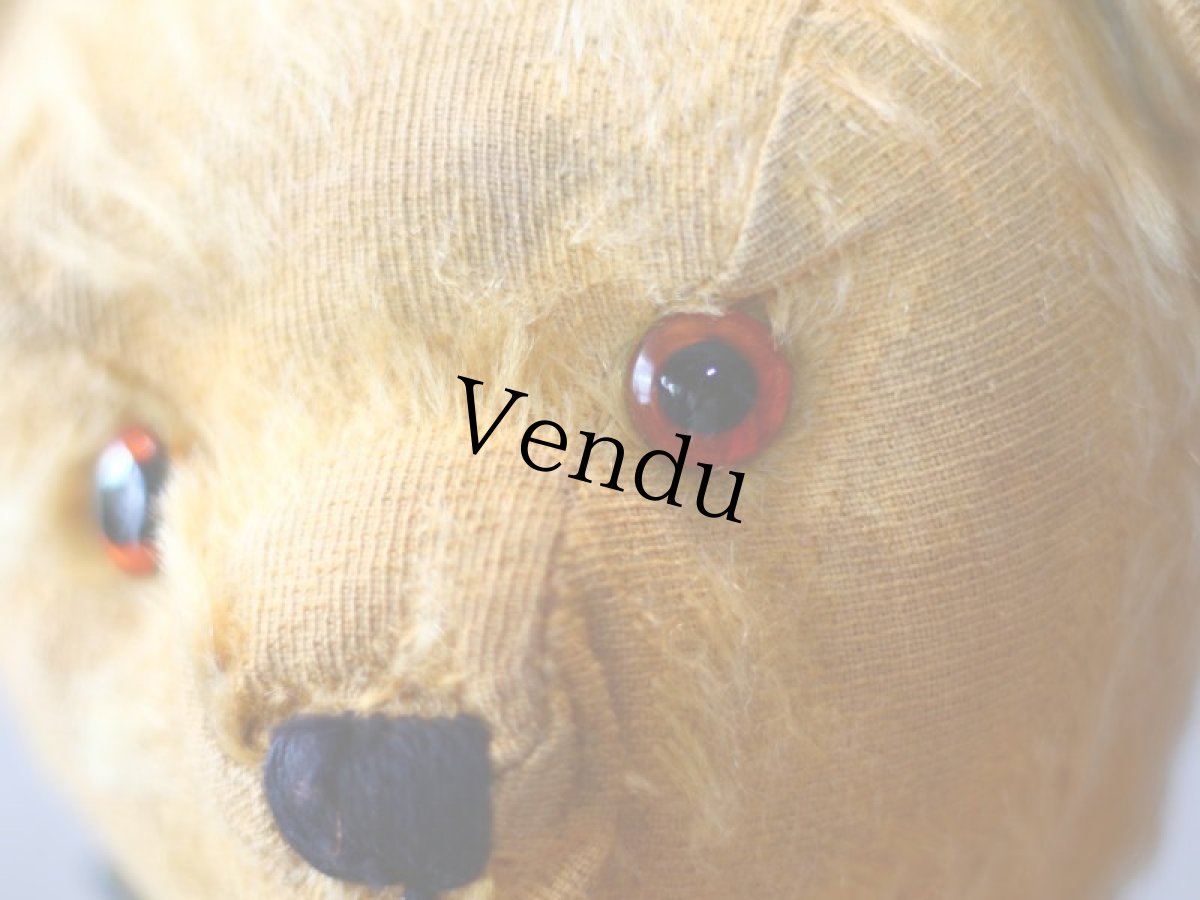 画像4: アンティークテディベア＊ (4)