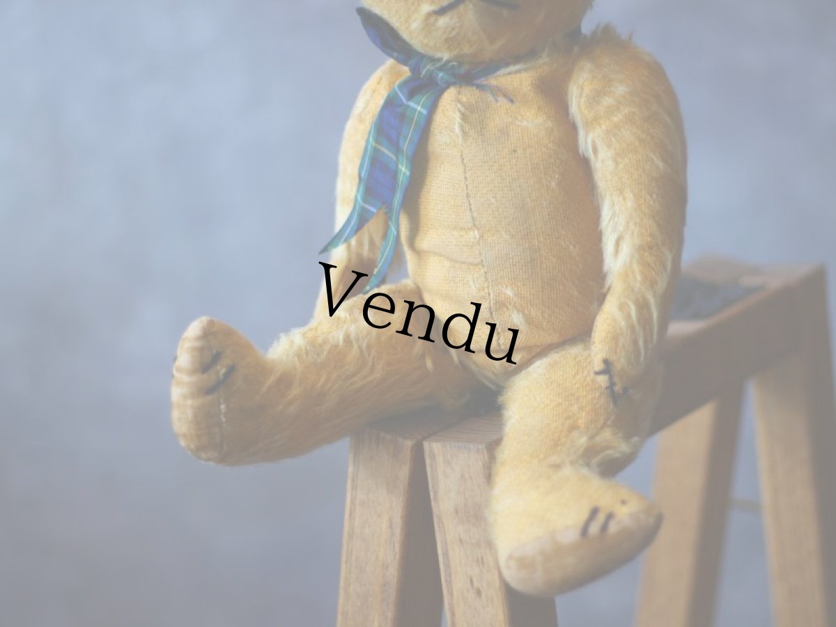 画像3: アンティークテディベア＊ (3)