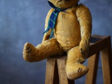 画像3: アンティークテディベア＊ (3)