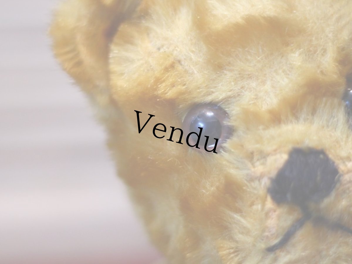 画像4: イギリス メリーソート アンティークベア/British＊ (4)