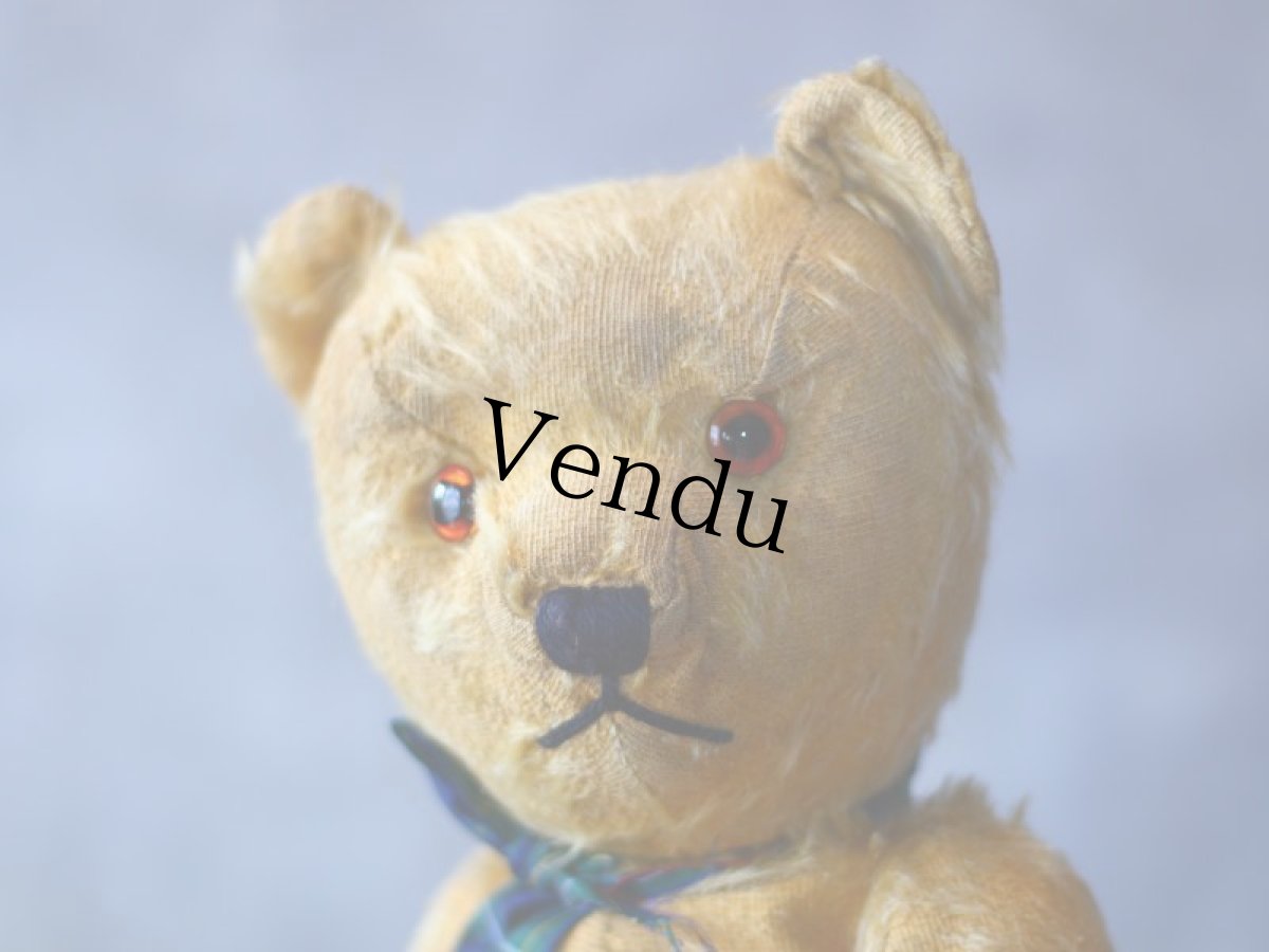 画像2: アンティークテディベア＊ (2)