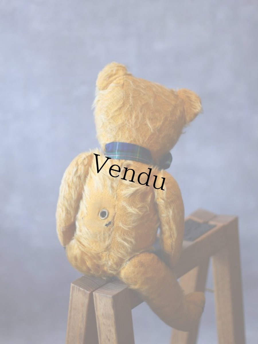 画像6: アンティークテディベア＊ (6)