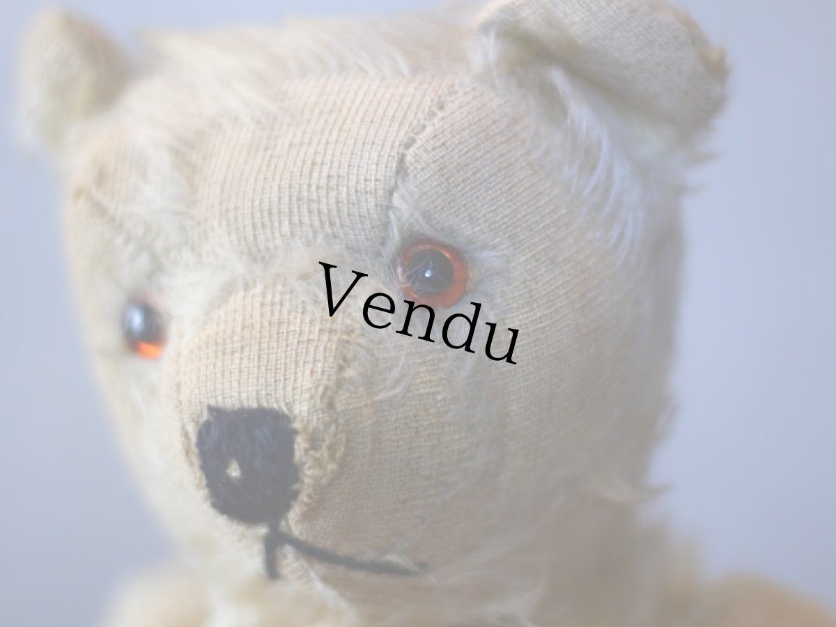 画像6: アンティークテディベア＊ (6)