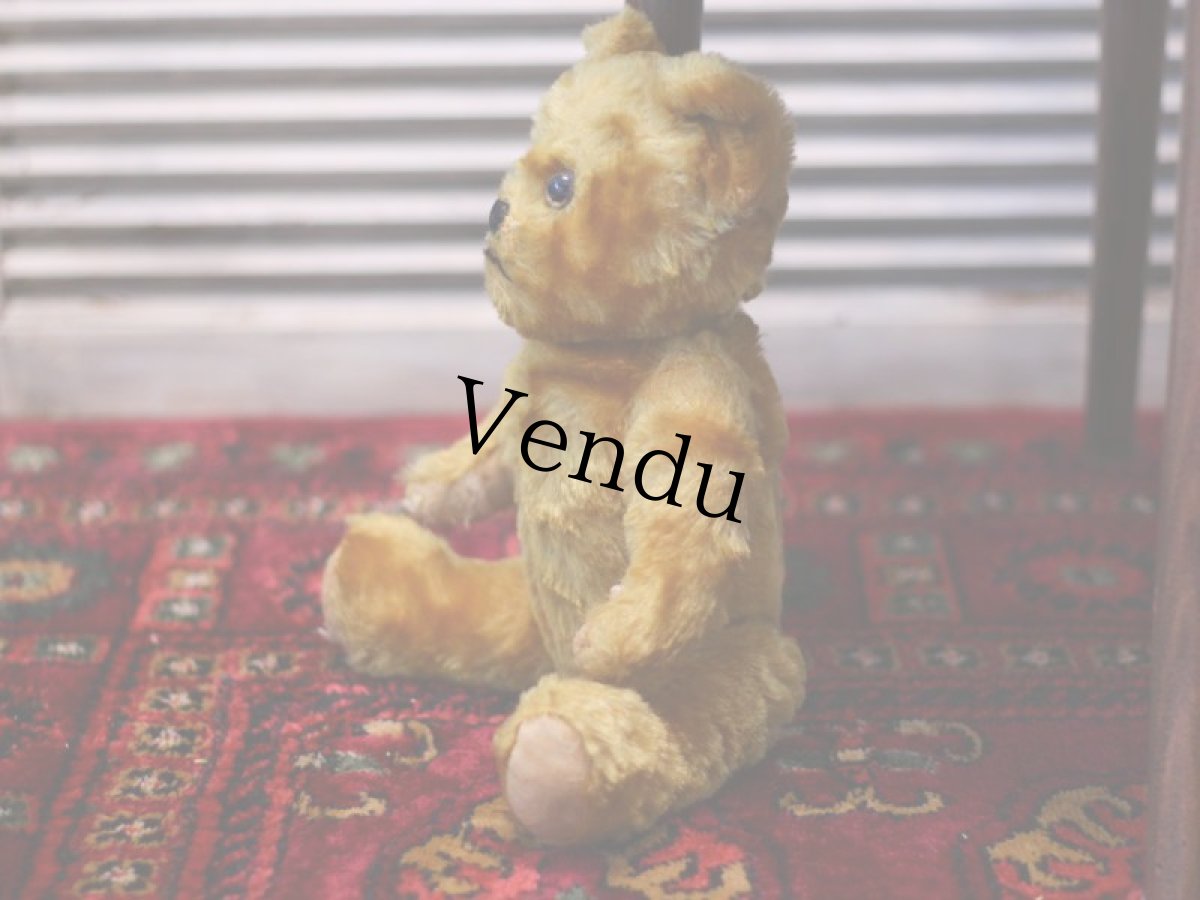 画像8: イギリス メリーソート アンティークベア/British＊ (8)