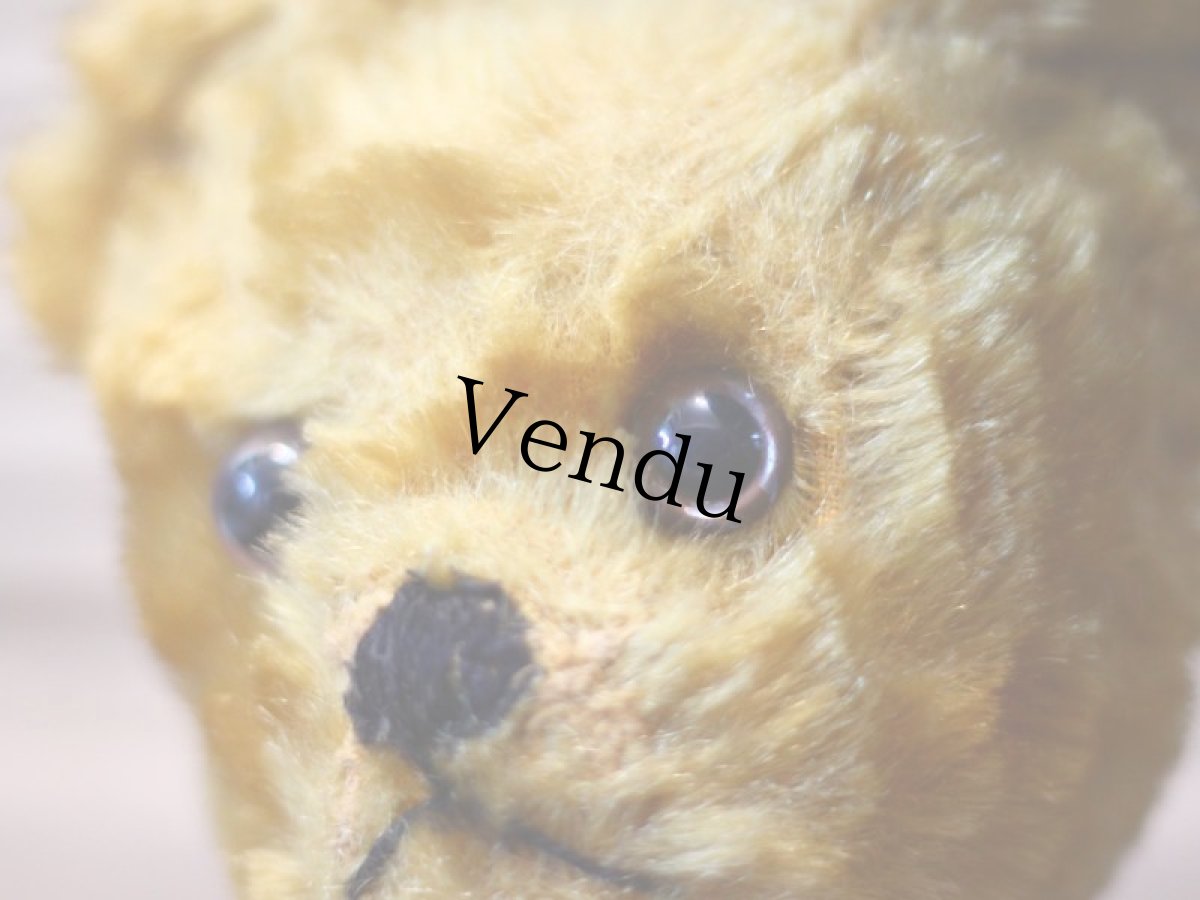 画像5: イギリス メリーソート アンティークベア/British＊ (5)