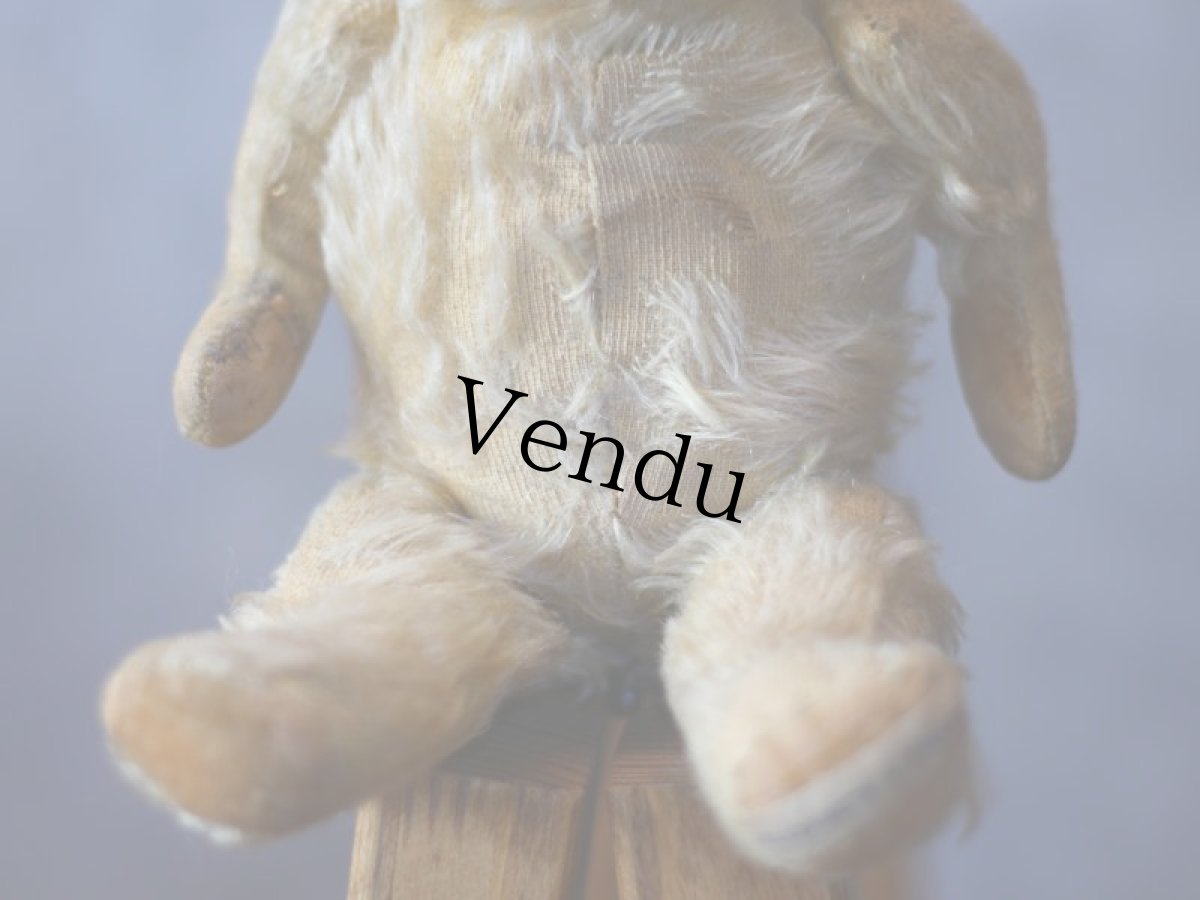 画像4: アンティークテディベア＊ (4)