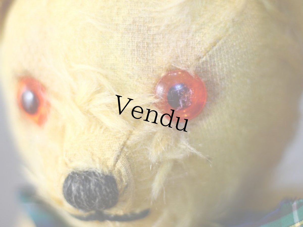 画像6: アンティークテディベア＊ (6)