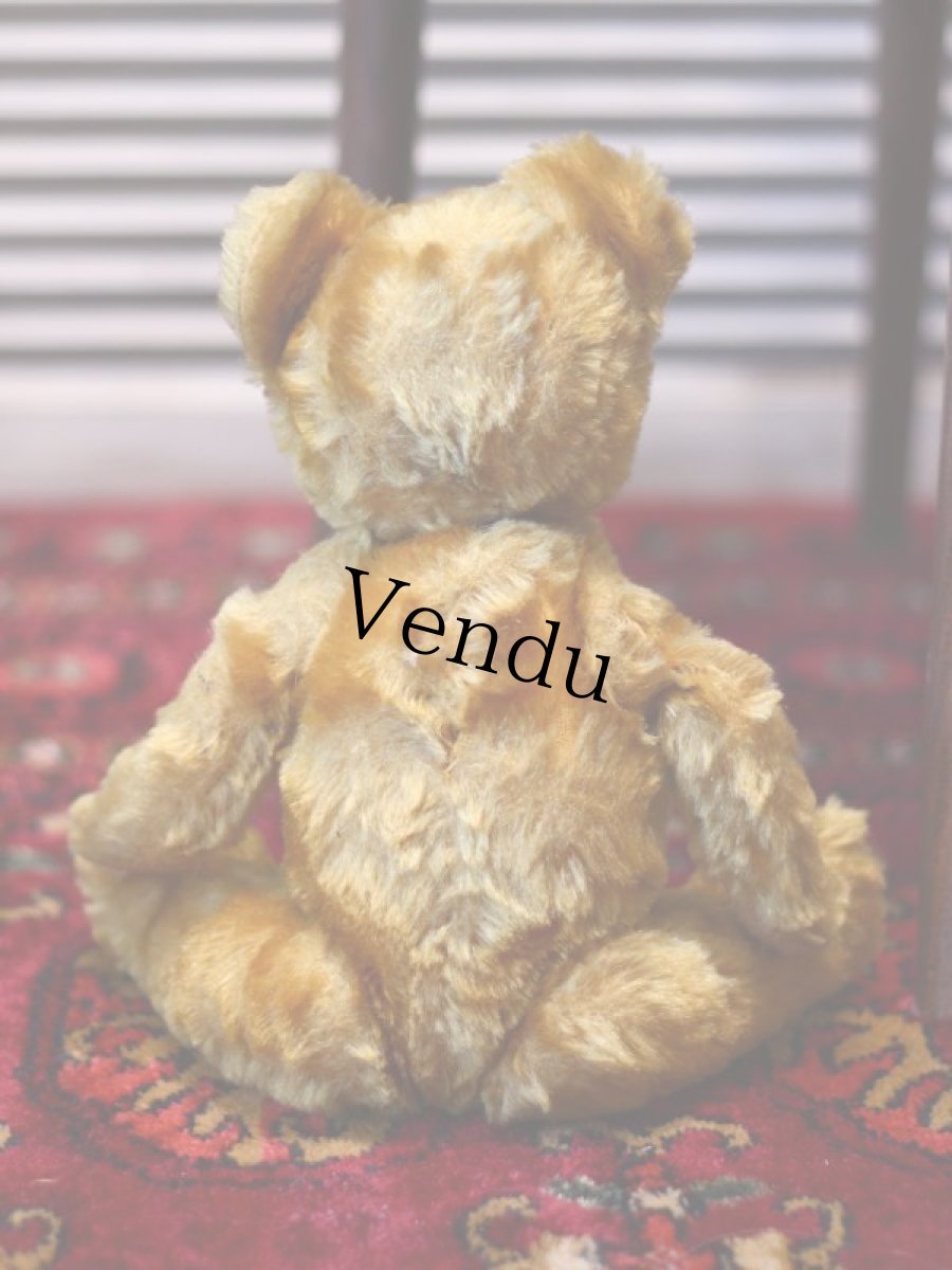 画像7: イギリス メリーソート アンティークベア/British＊ (7)